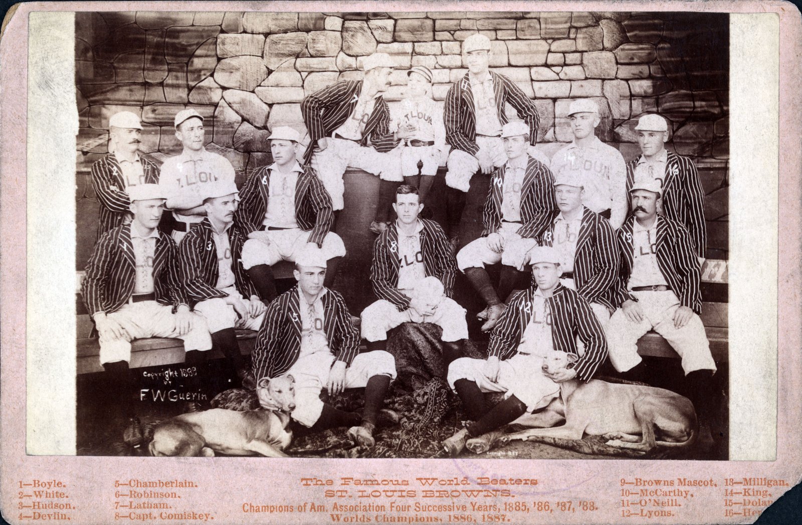 St. Louis Browns/Brown Stockings 1888 Team Portrait (American Association of Baseball)